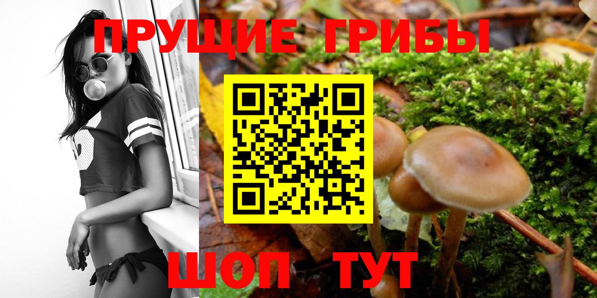 Галлюциногенные грибы мицелий Черкесск