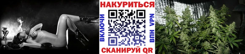 Бошки Шишки Amnesia магазин продажи наркотиков Черкесск